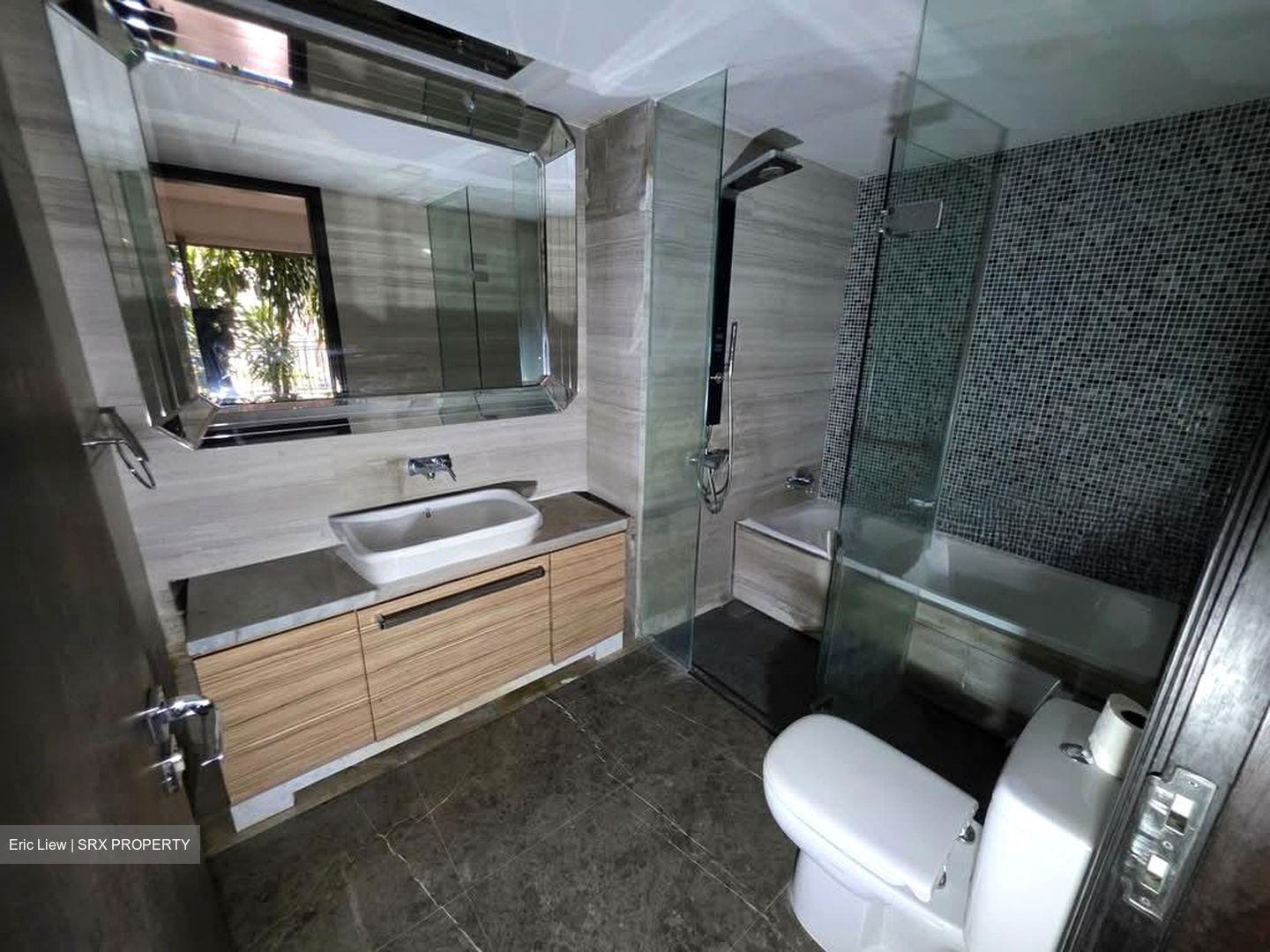 Thomson Grand (D20), Condominium #561318641
